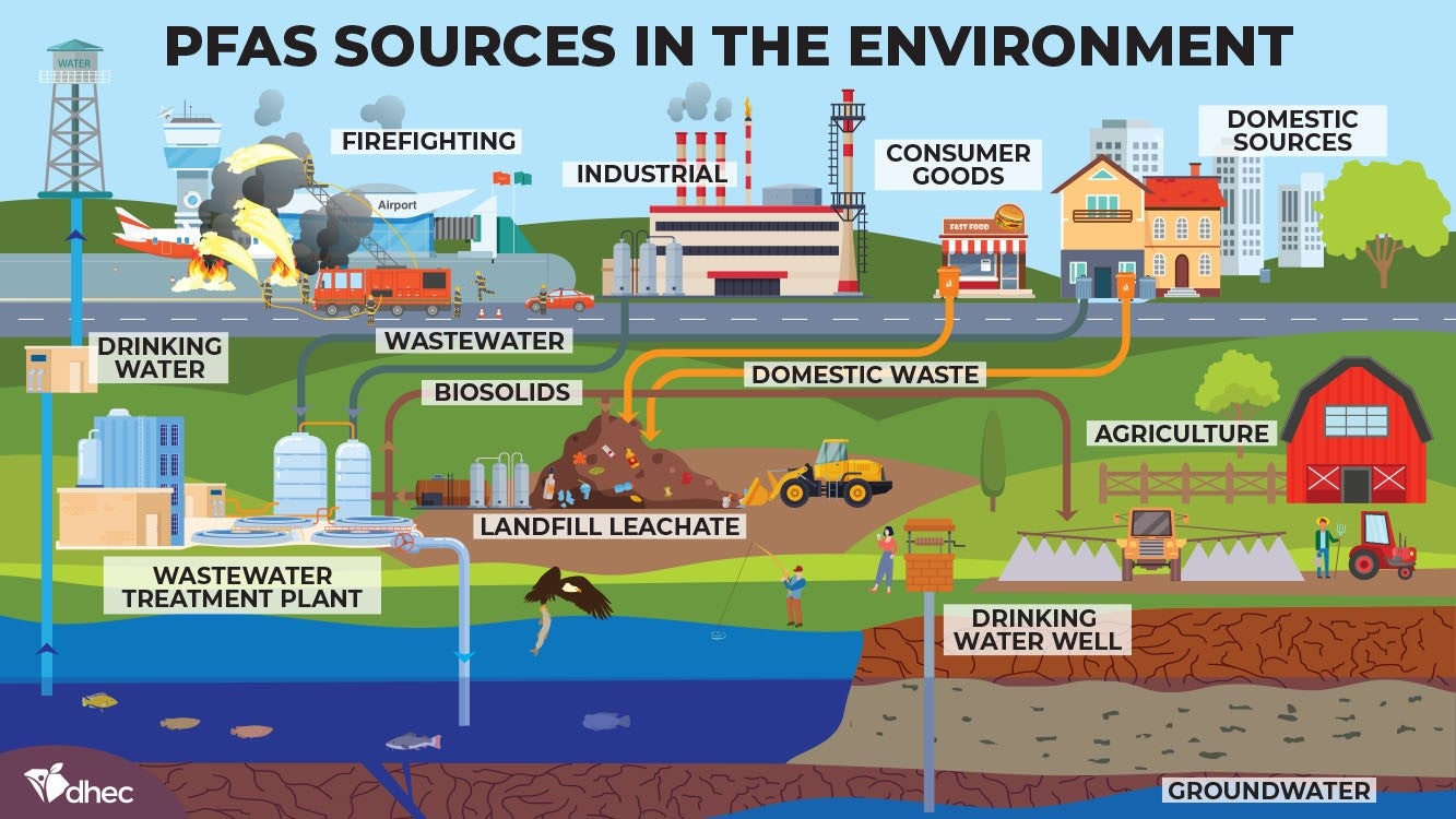 Sources of PFAS in the environment.
