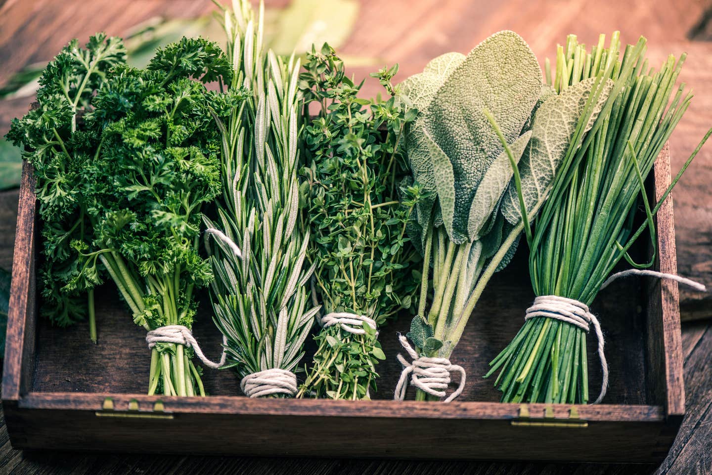 For centuries, rosemary and sage have been associated with memory.