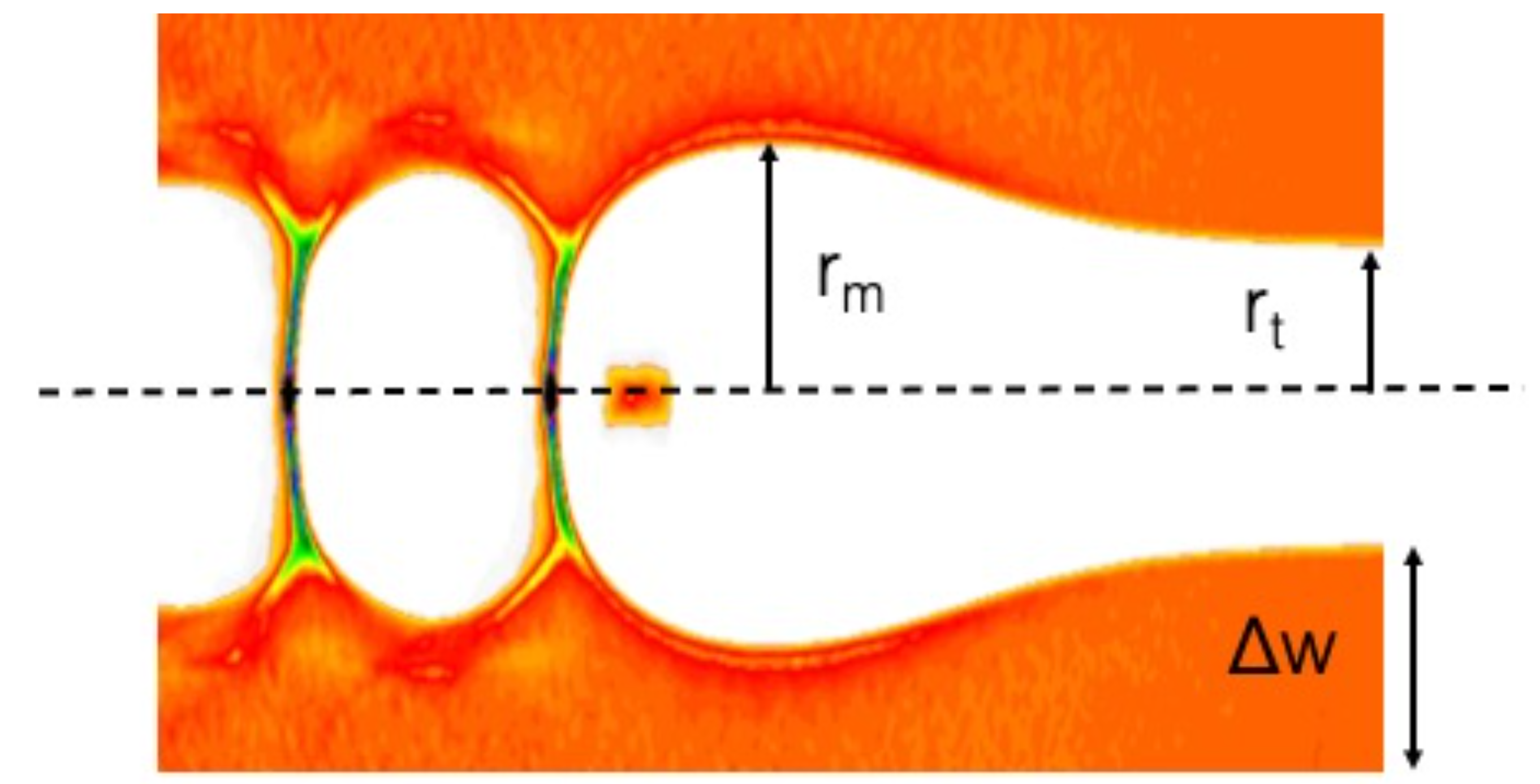 Notations in our surface crunch-in plasmon kinetic model. Here, rt is the tube radius, rm is the maximum radial amplitude of plasmon and Δ⁢w is the wall thickness of the tube.