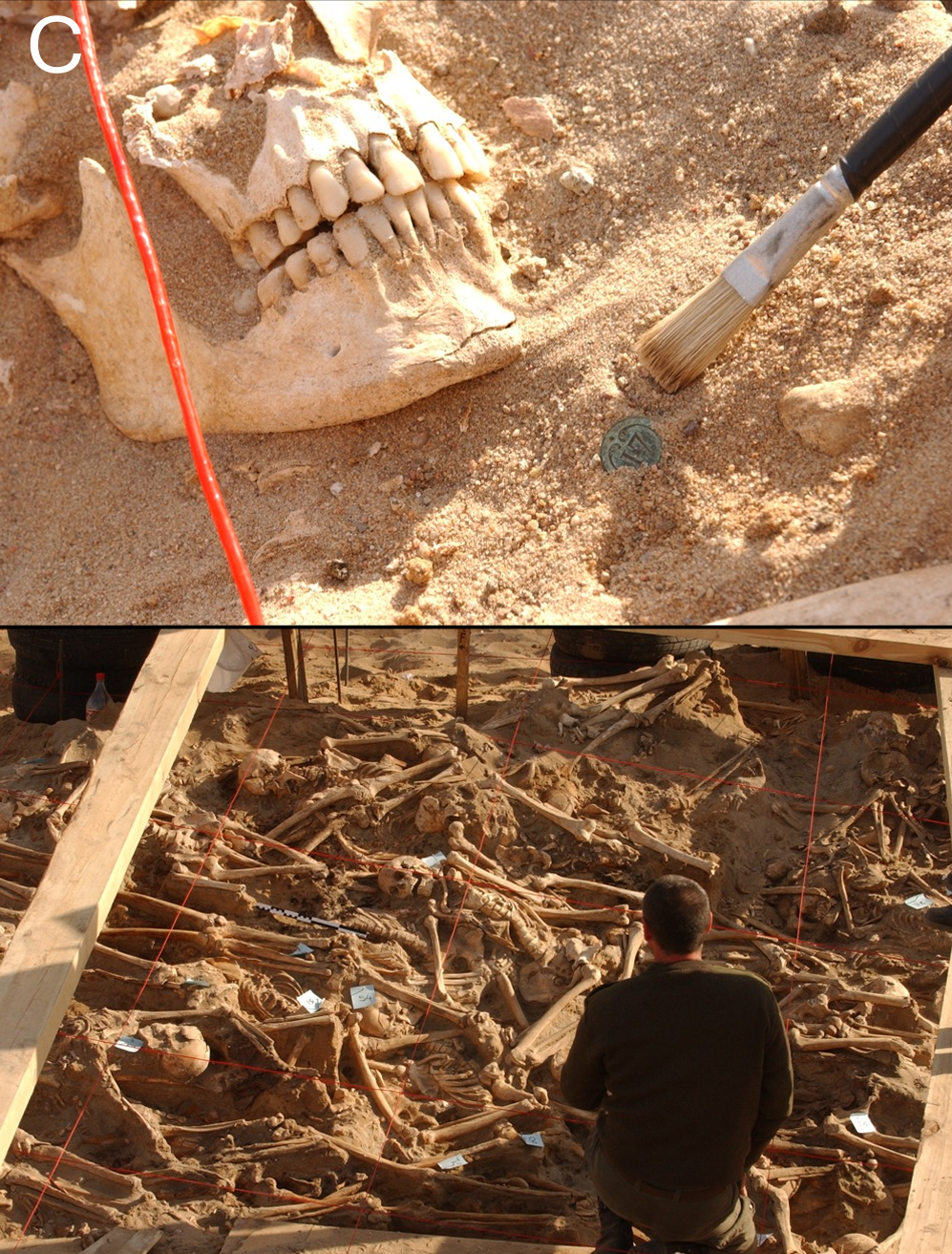 In situ photographs taken during the excavation of the trenches containing the bodies of Napoleonic soldiers.  The top photograph shows the discovery of an imperial-type button of uniform in the mass grave. The lower photograph shows a general view of the mass grave. 