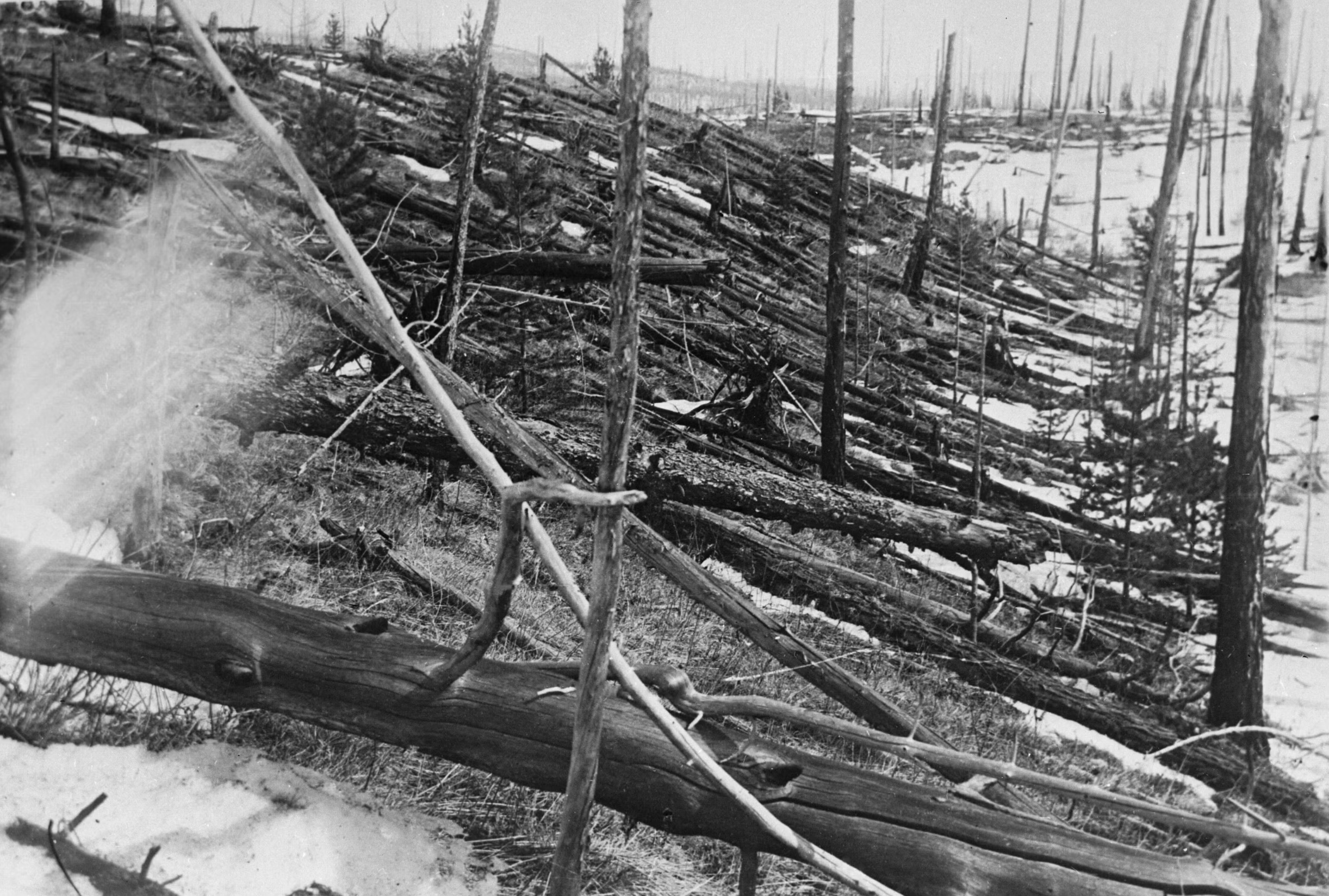 A 1929 photograph of the area near the Podkamennaya Tunguska River, Russia, where a meteor air burst exploded nearly 21 years prior.