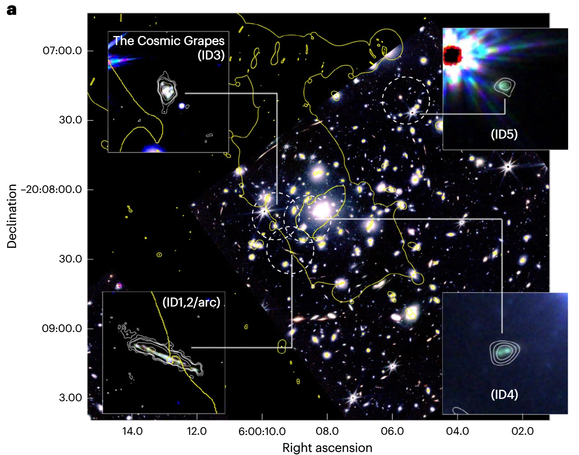 NIRCam and ALMA overviews of the cluster RXCJ0600-2007 and the quintuply lensed images of the Cosmic Grapes at z = 6.072.