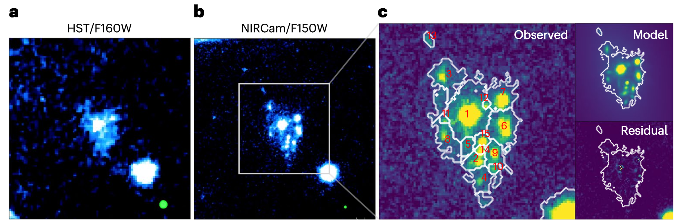 HST and NIRCam NIR observed images of the Cosmic Grapes without lens correction