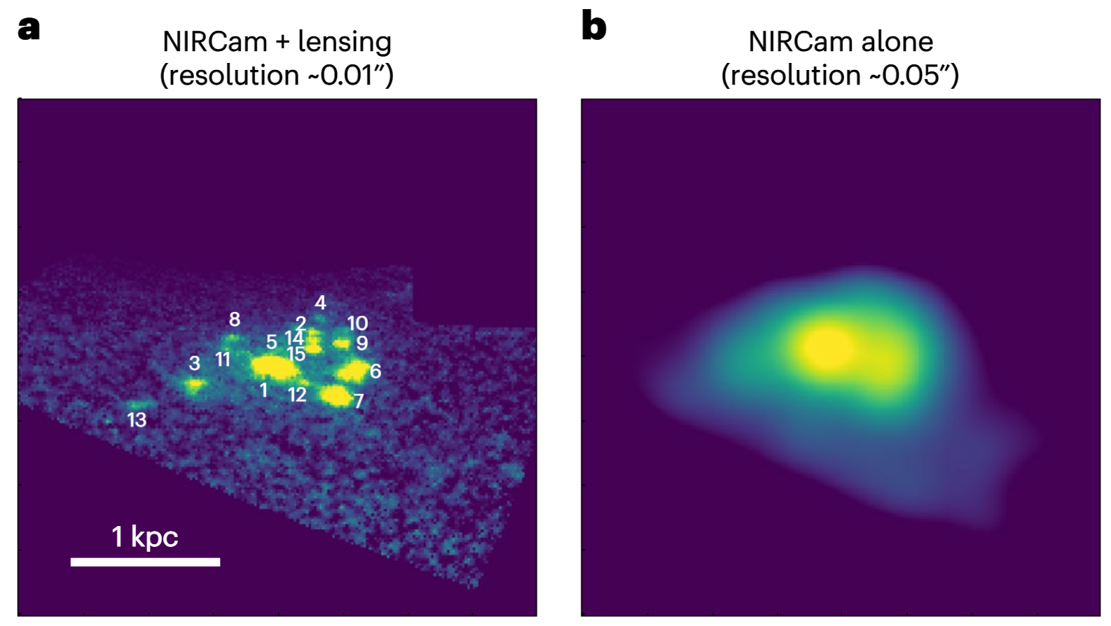 Comparison of the views into a typical early galaxy with and without the lensing support
