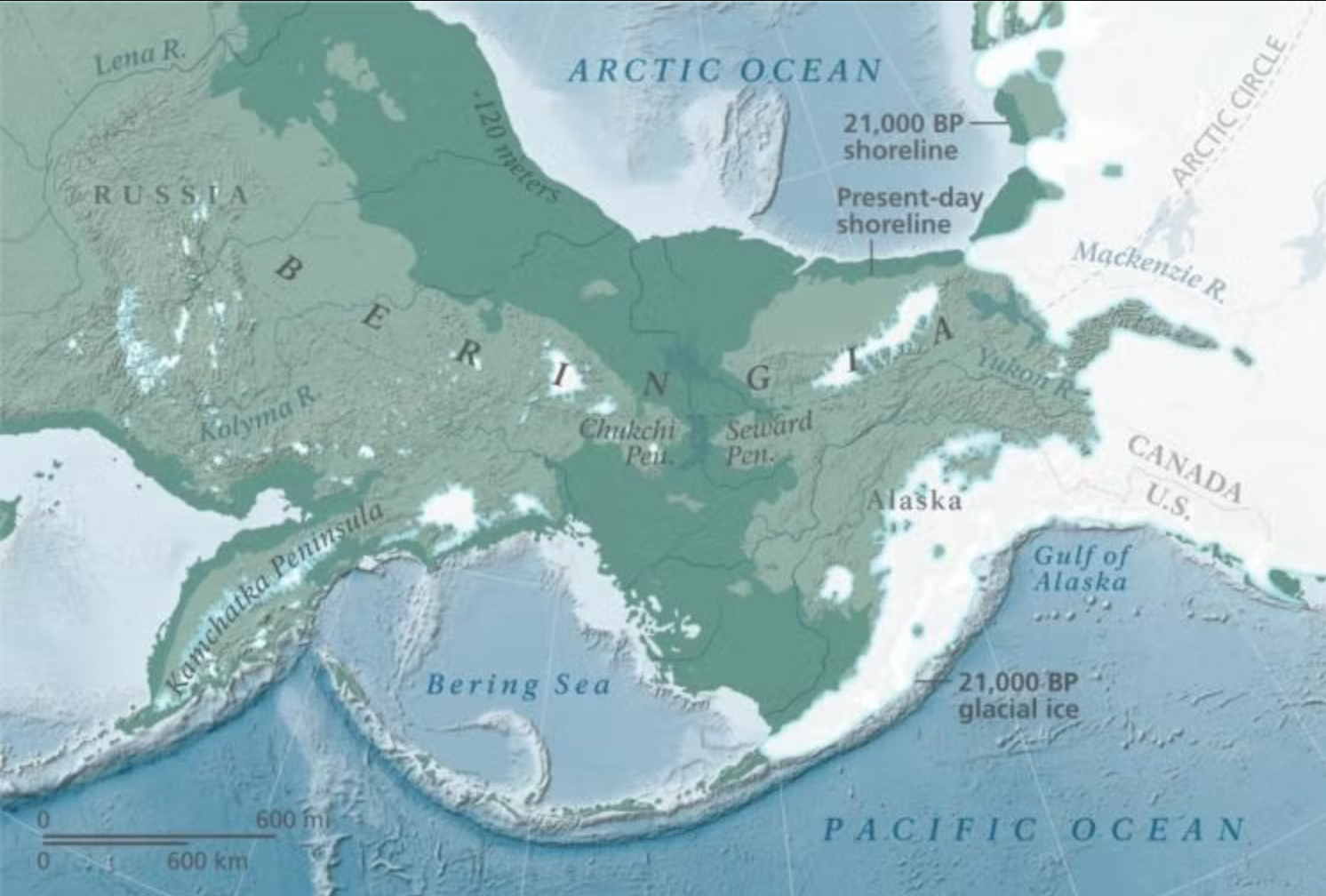 Map of a land bridge connecting modern-day Russia to Alaska roughly 21,000 years ago.