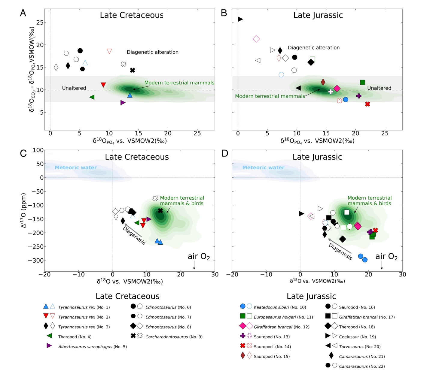 Plots A and B illustrate the difference between the δ18O values of the structural bioapatite carbonate (δ18OCO3) and phosphate (δ18OPO4) for dentine (open symbols) and enamel (filled symbols) of dinosaur tooth samples.