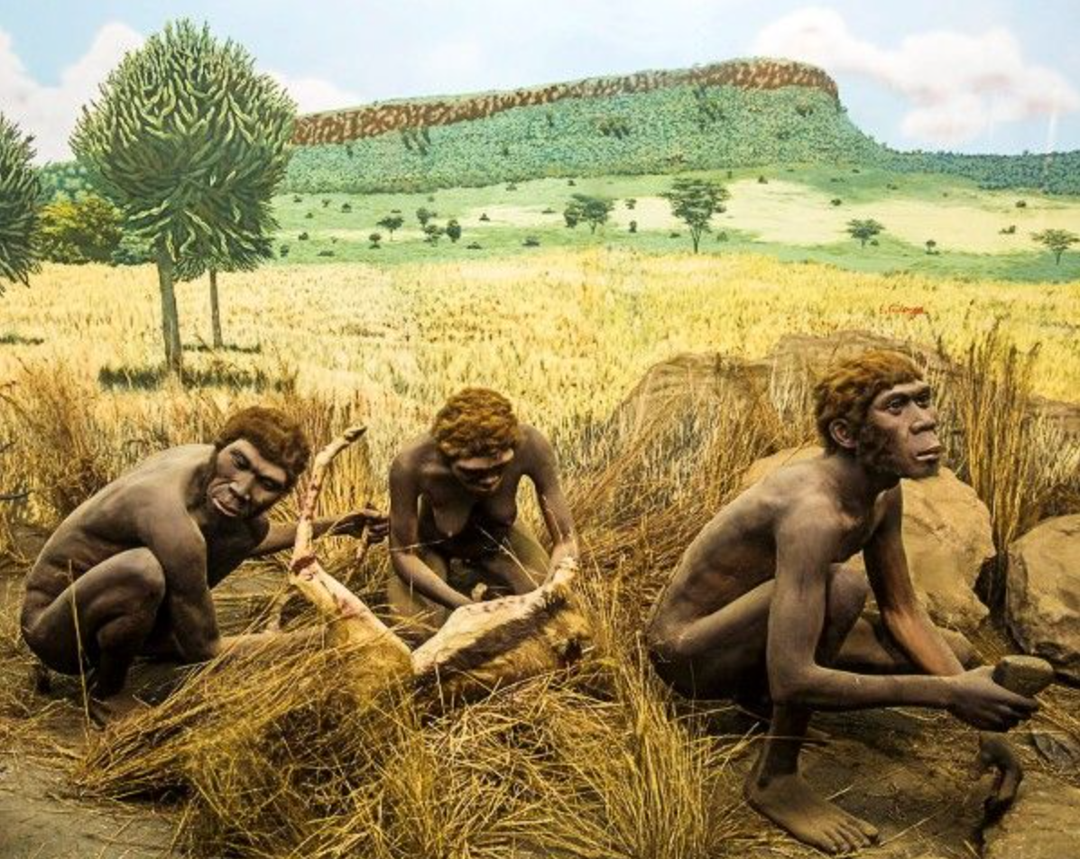 A new genetic study shows humanity almost vanished 900,000 years ago, shrinking to just 1,280 individuals before rebounding.