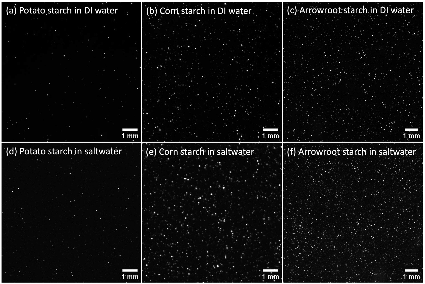 Biodegradable particles scattering laser light (visible as bright dots in the images).