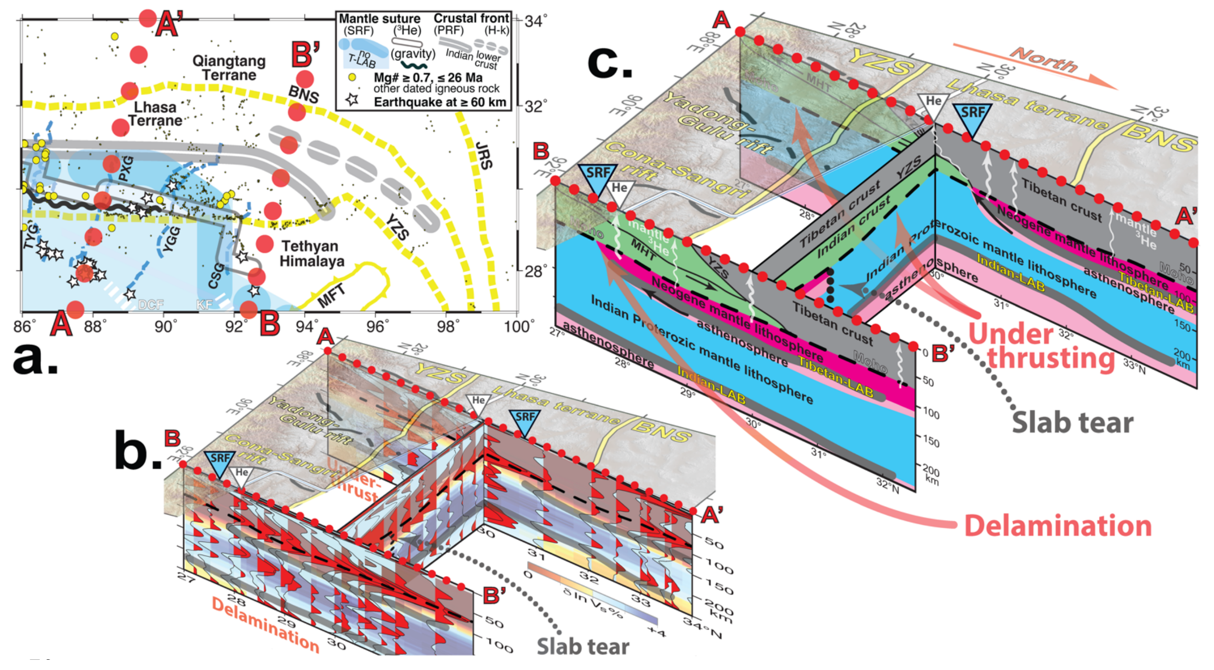 Summary of SRF and SWS results and location of cross-sections A-A’ and B28 B’ in b and c.