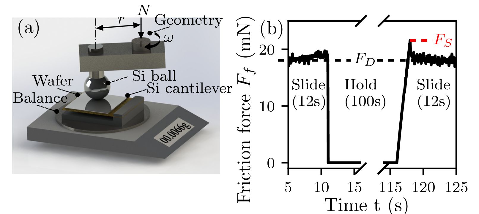 Experimental system. A 3 mm-diameter silicon ball is clamped to the geometry of a rheometer and brought into contact with a homemade Si cantilever.