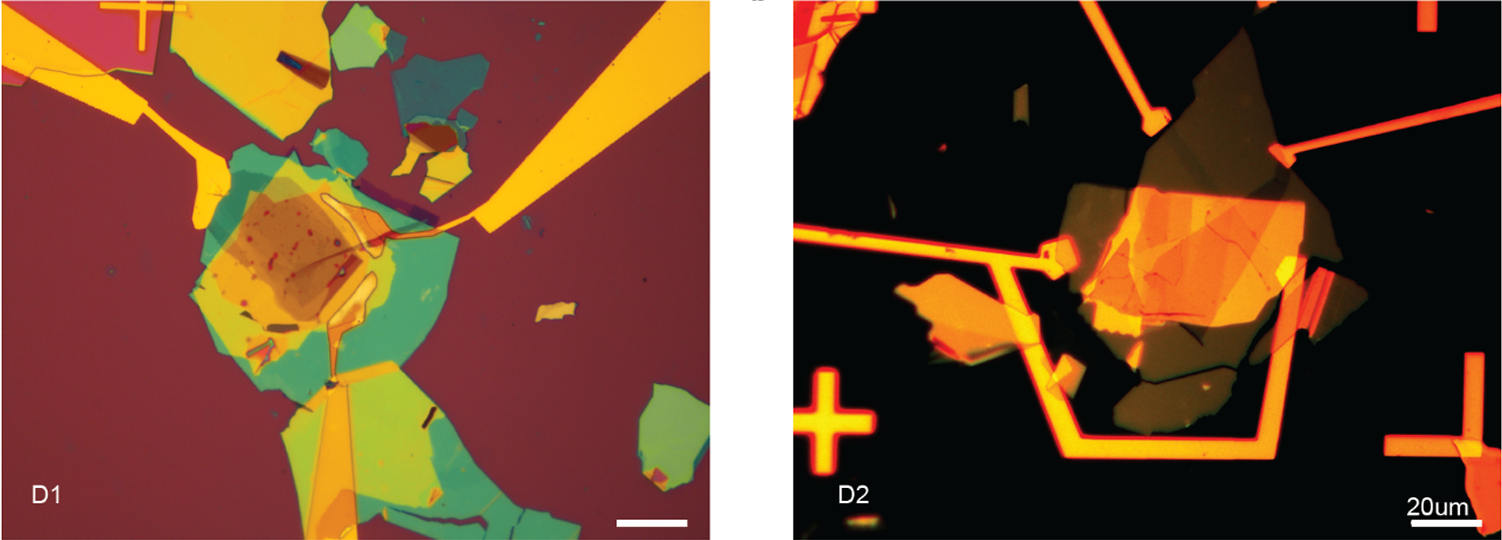 Device Images. a-b. 50X microscope image of device D1 and D2, the scale bar is 20 µm. 