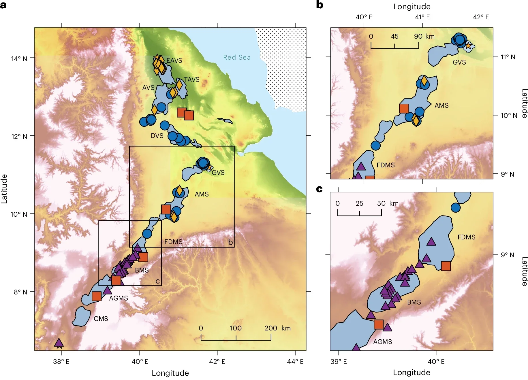 The segments and cluster assignment within the study region.