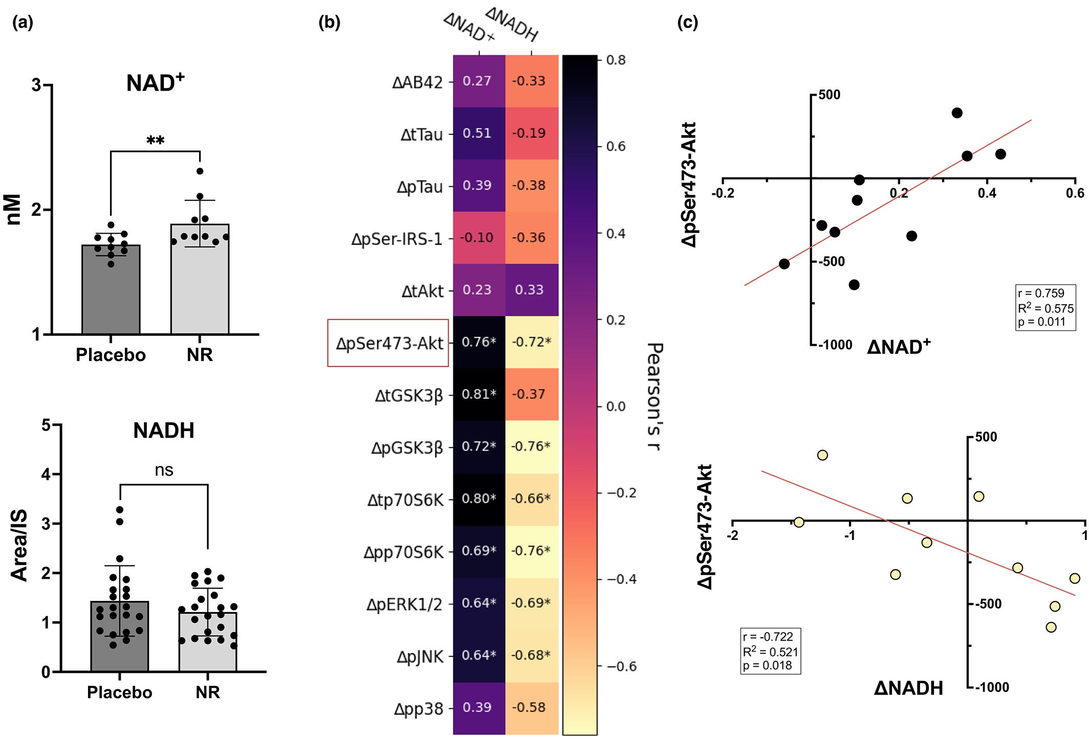 NAD+ and NADH concentrations in NEVs and change–change correlations with insulin signaling proteins.