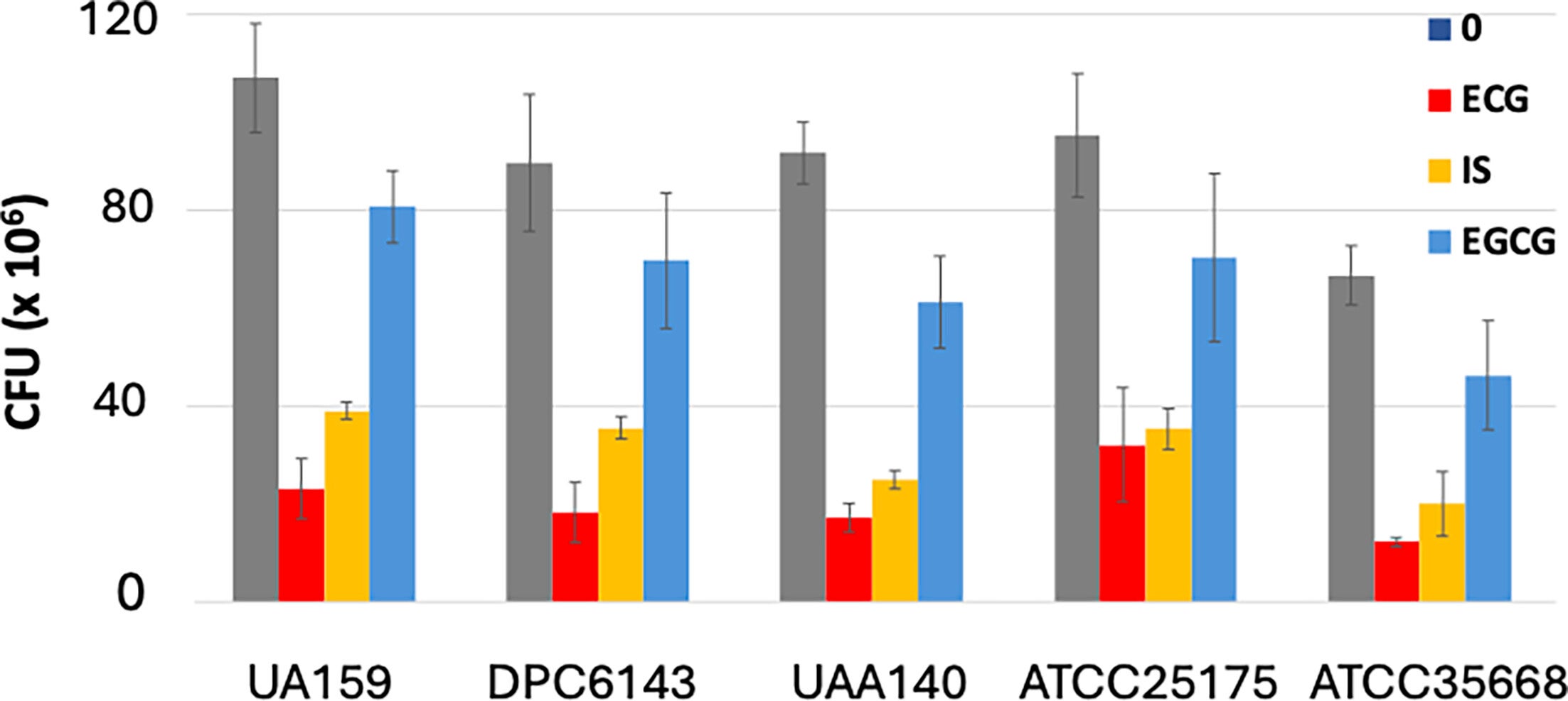 Polyphenol-mediated biofilm inhibition in various S. mutans strains.