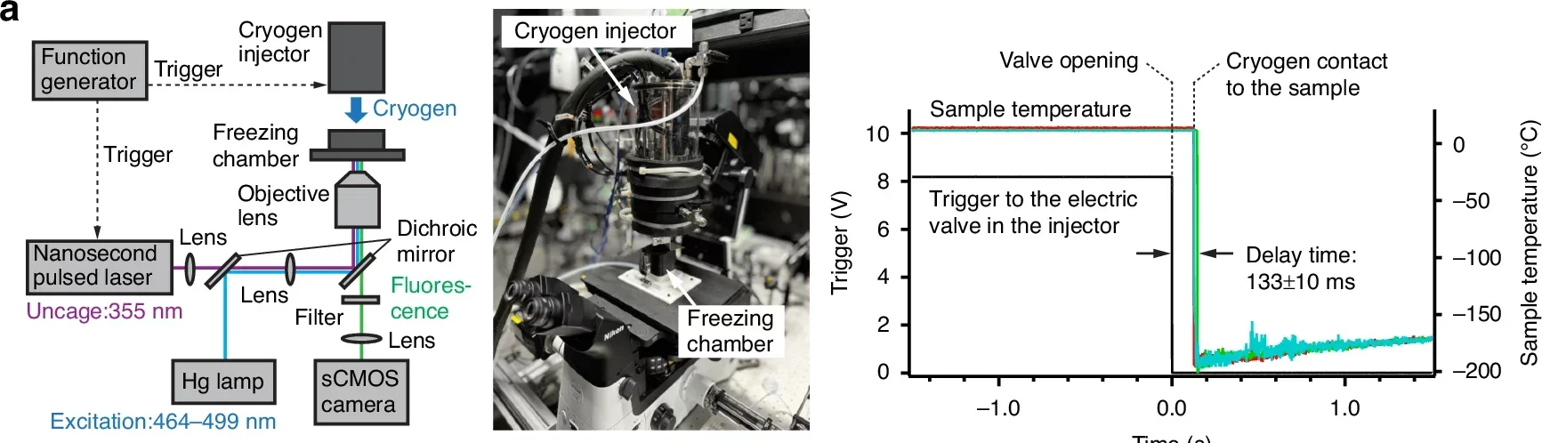 Optical microscope setup equipped with a UV laser source for signal triggering and a precise cryogen injection control system