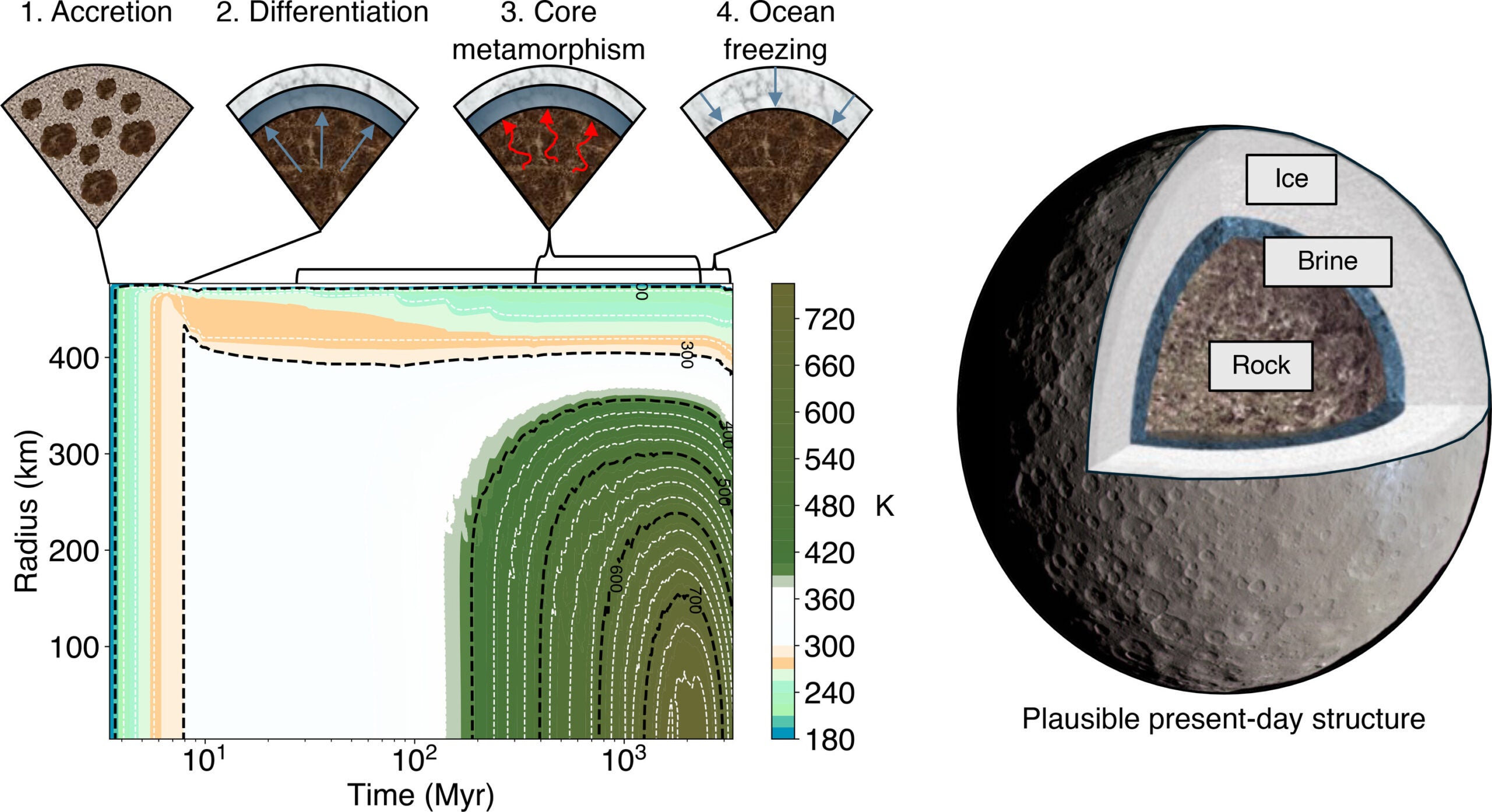 Ceres’s temperature evolution drives major interior events.