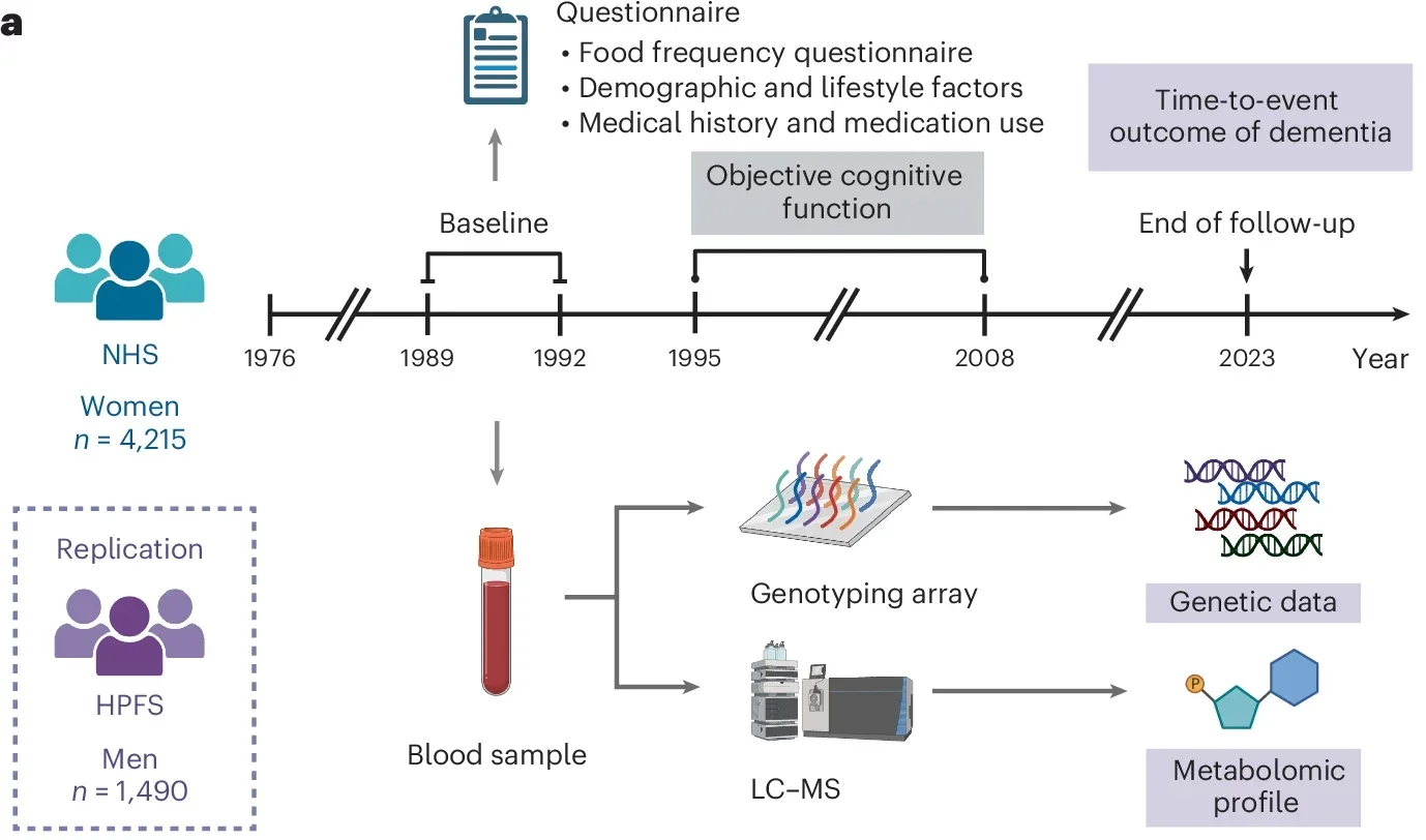 Prospective cohort studies examining the interrelationship of genetics, plasma metabolomics, MedDiet, cognitive function and dementia risk.