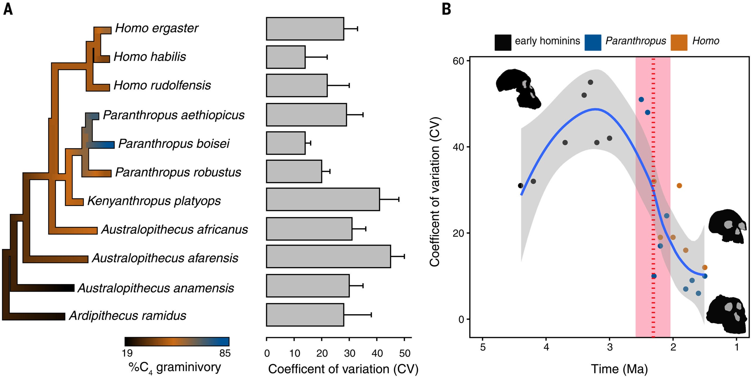 Affirming flexible stems as the precondition for behavioral drive.