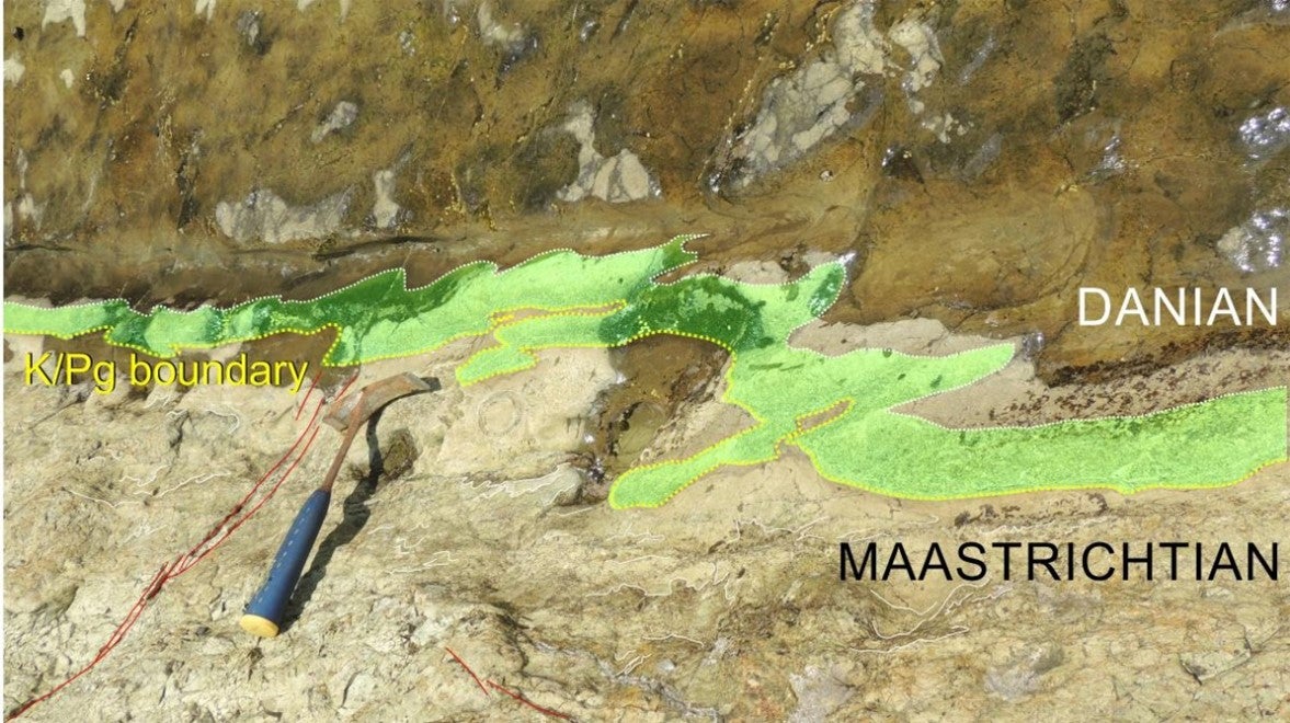 Deformed spherule-rich layer at Gorgonilla Island (Colombia) showing that seismic activity persisted for weeks or months after impact. Credit: Hermann Bermúdez.