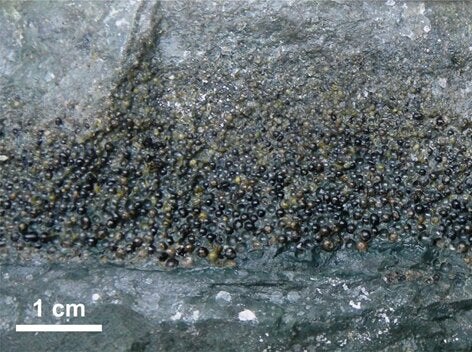 Spherule deposits on Gorgonilla Island. 