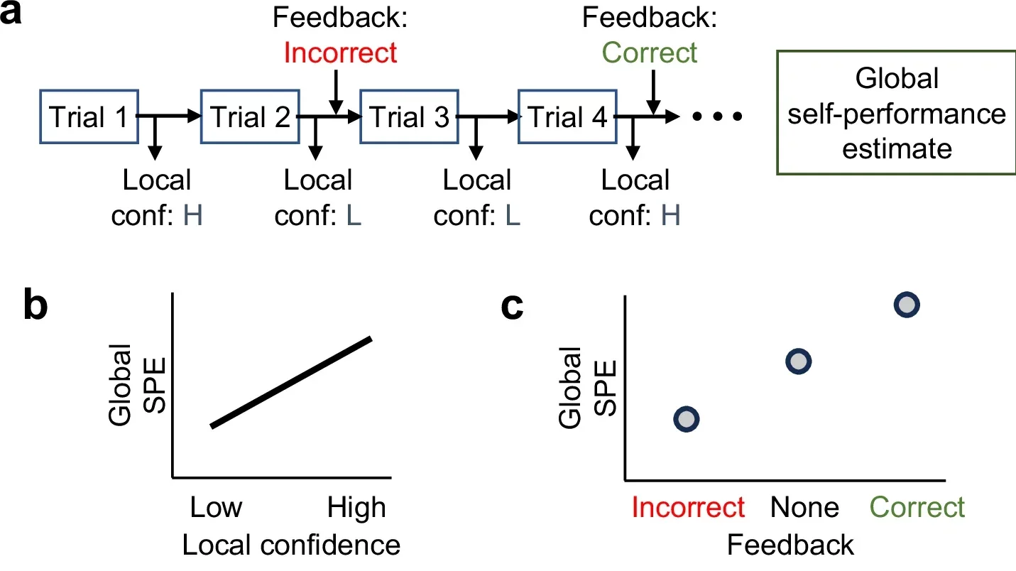 A schematic depiction of the hypotheses.