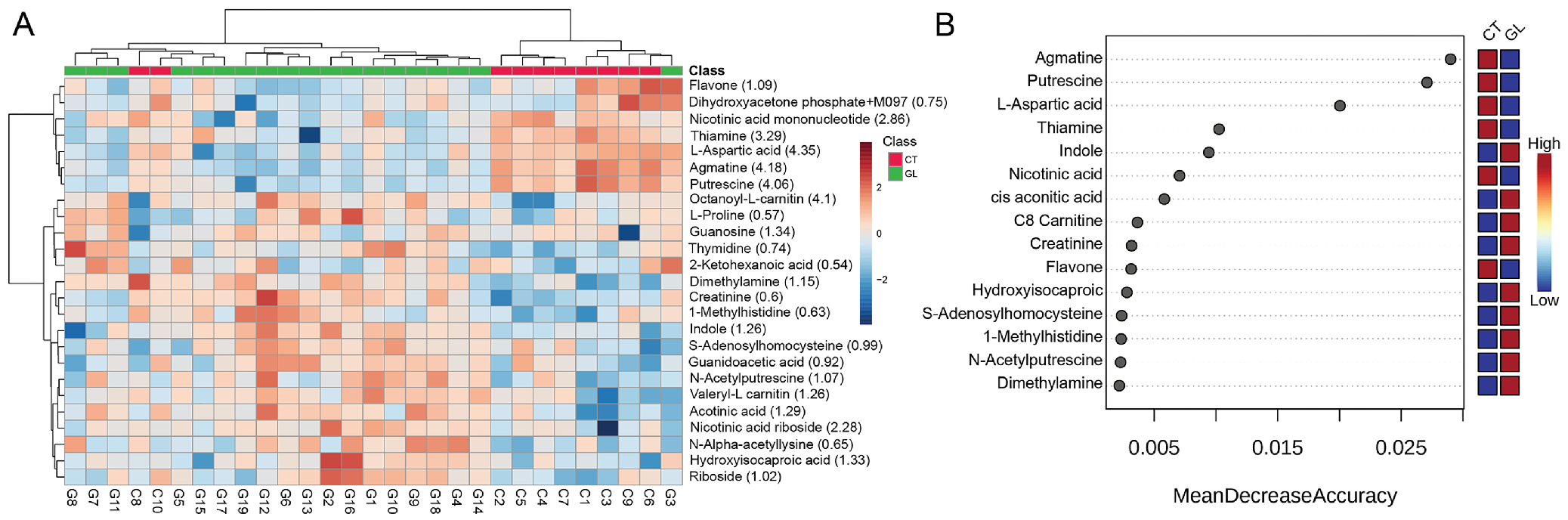  
Hierarchical clustering and random forest analyses of metabolites.