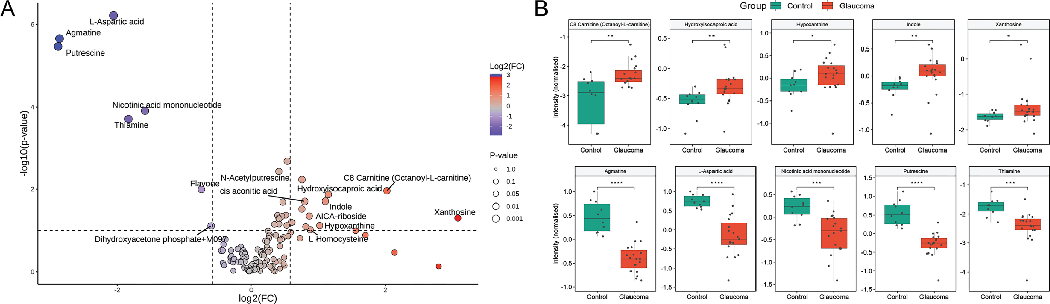 Glaucoma-induced dysregulation of amino acids, vitamins, and nucleic acid metabolites.