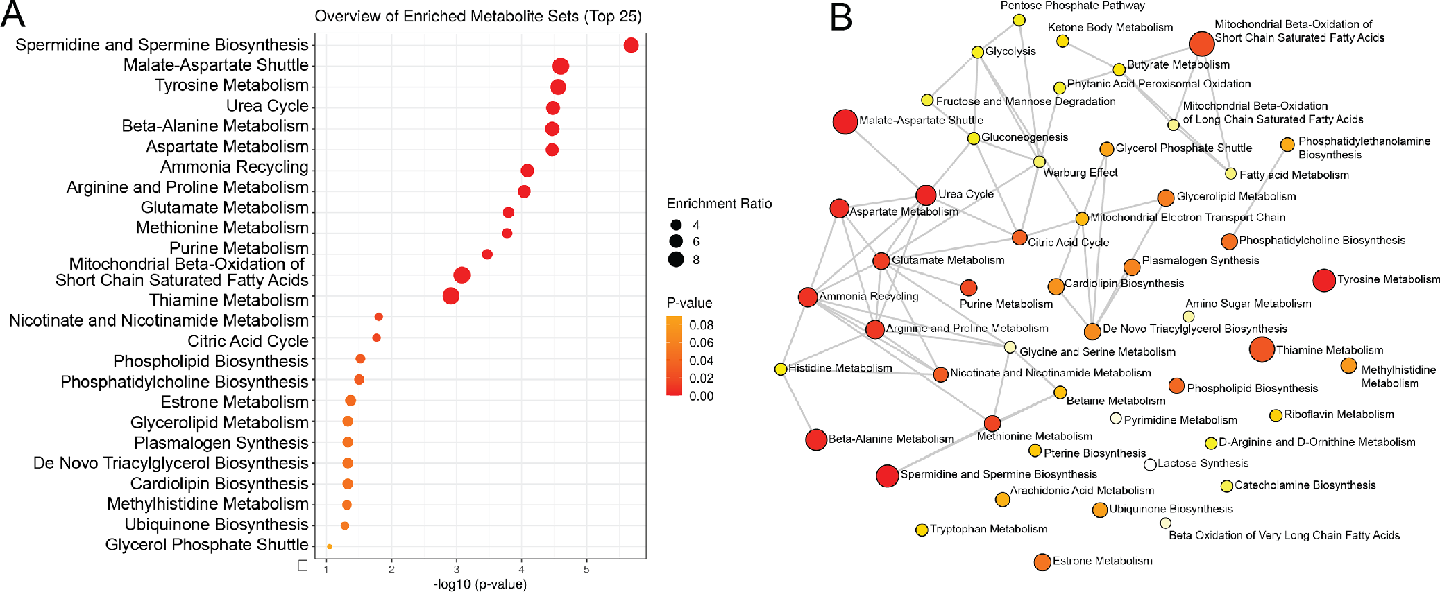 Dysregulated metabolites in glaucoma impact diverse essential metabolic pathways.