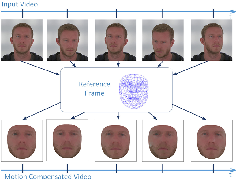 Illustration of the temporal alignment process. A reference mesh, composed of 918 triangles formed from MediaPipe facial landmarks, (center) is used to spatially warp each frame from the video sequence (top) to a reference position (bottom).