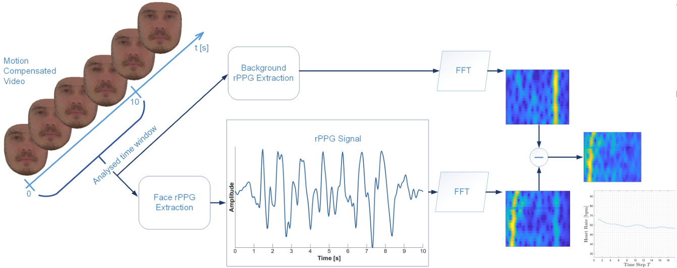 Heart rate extraction pipeline. From the registered video sequence, we calculate a global rPPG signal of the face as well as the background. Following, we determine the magnitudes in frequency space for each signal over time. To robustly extract the heart rate both signals are “subtracted”.