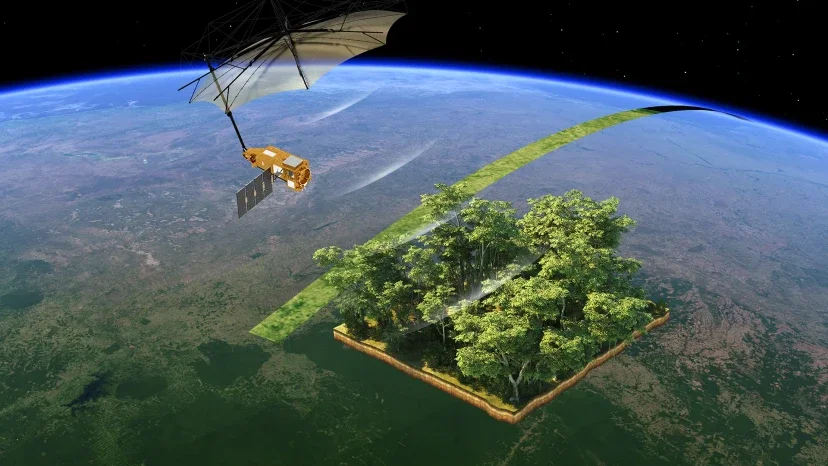 The European Space Agency’s Biomass satellite is the first satellite equipped with a radar that can penetrate the forest canopy to map entire trees. This will allow scientists to determine how much biomass Earth’s forests actually contain.