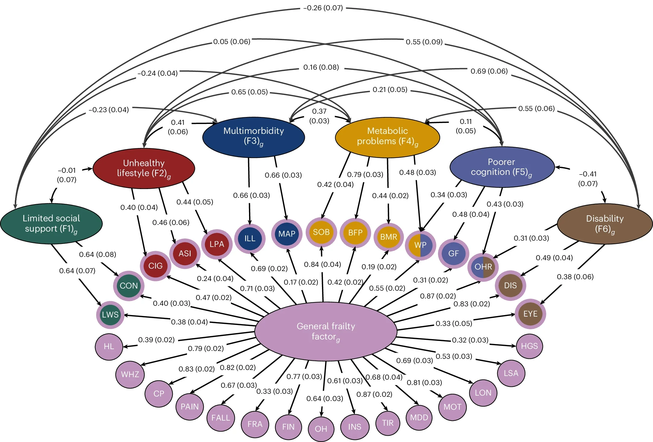 Path diagram of the standardized results for our bifactor model of frailty.