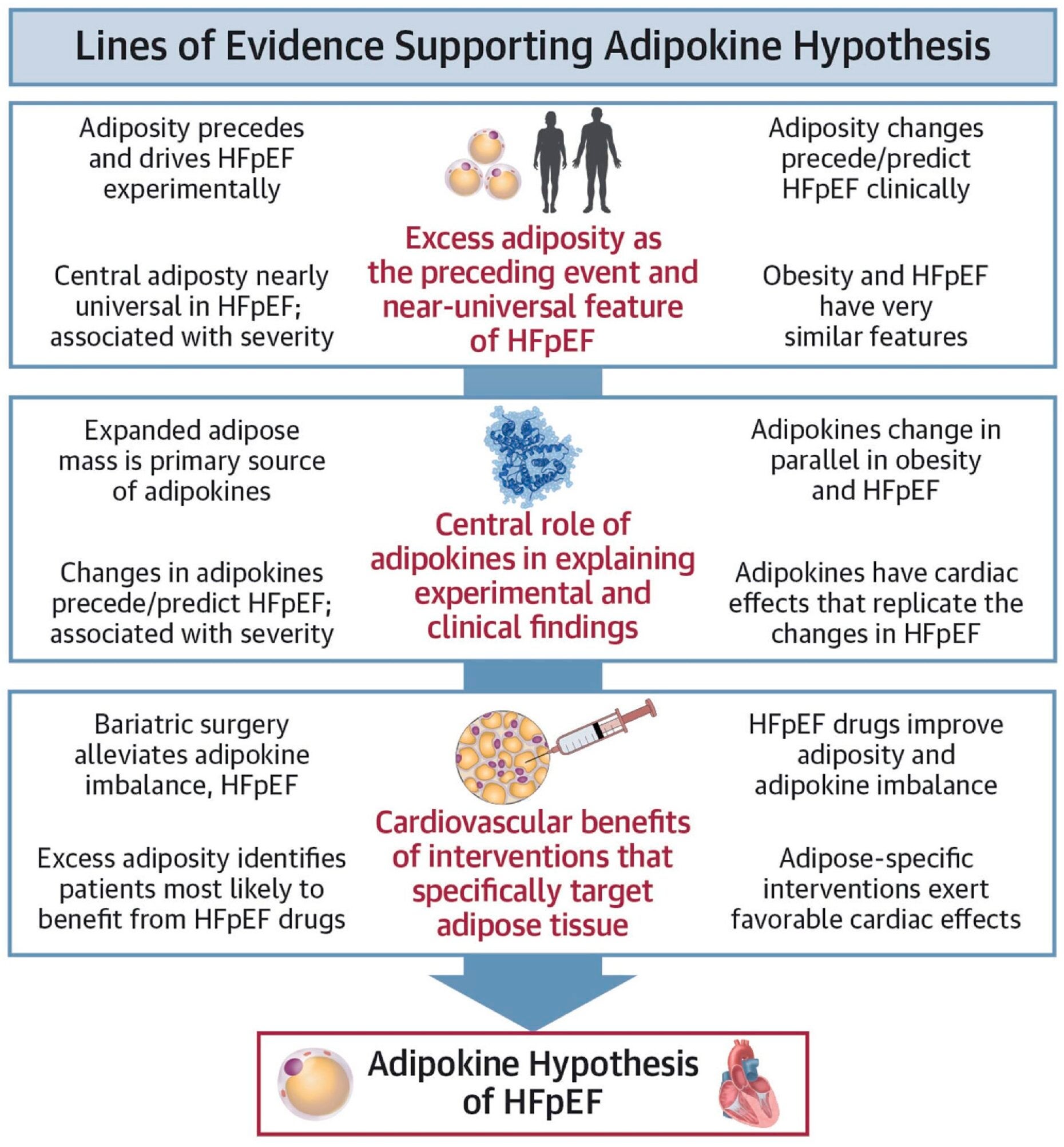Central illustration: Lines of evidence supporting the Adipokine Hypothesis of HFpEF.