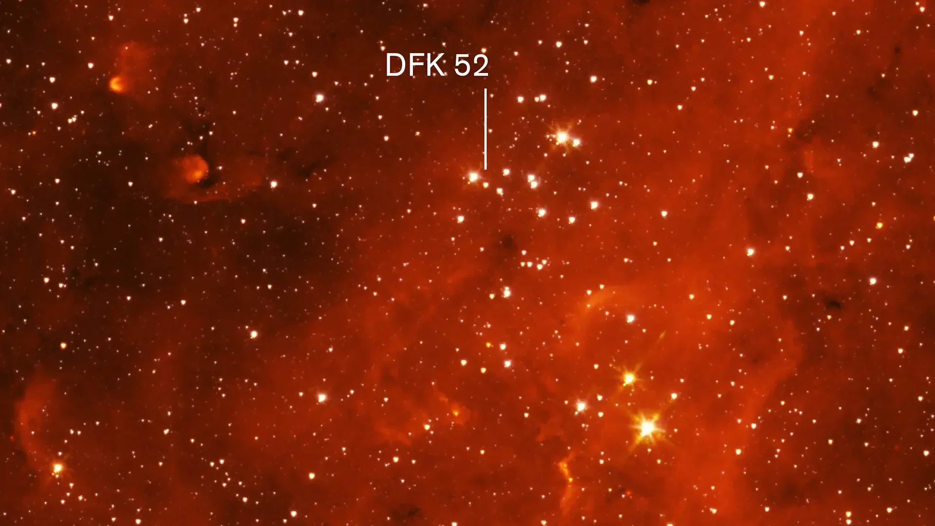 Red supergiant star DFK 52 is a member of the star cluster Stephenson 2. In this image, the brightest stars are all supergiants, and all members of the cluster.