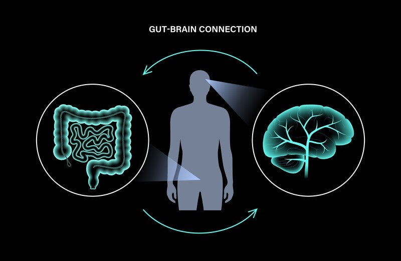A molecule produced by a common gut bacterium can cross into the brain and cause damage linked to Alzheimer’s.