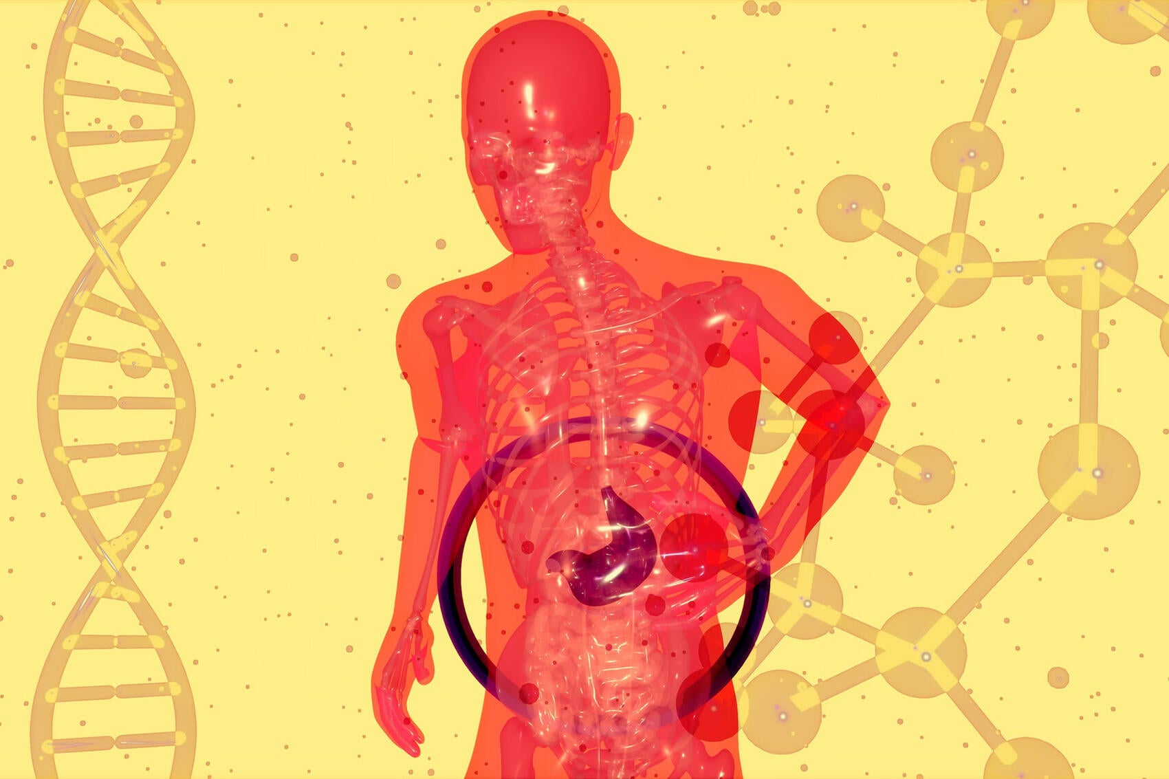 Alzheimer’s disease may start in your gut, new research finds