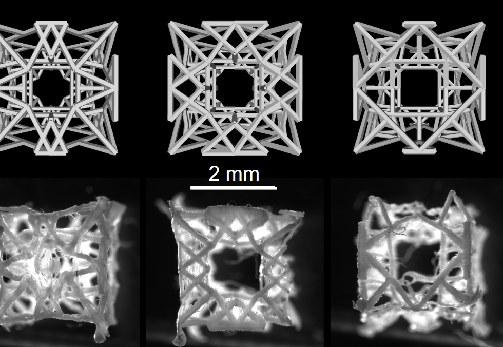 Three perspectives of a support scaffold model (top) and printed (bottom). 