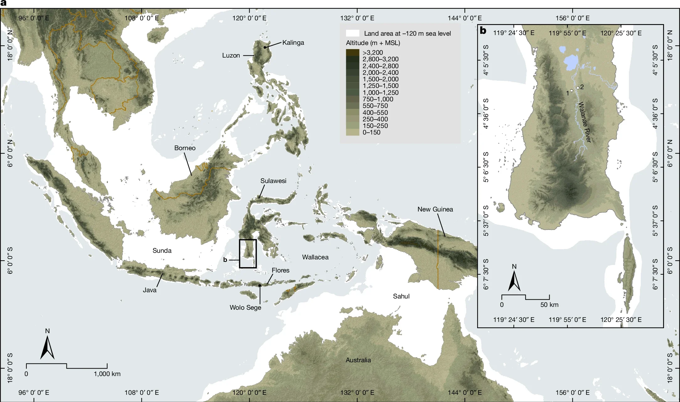 Geology and sedimentology of the Kalinga Excavation site.