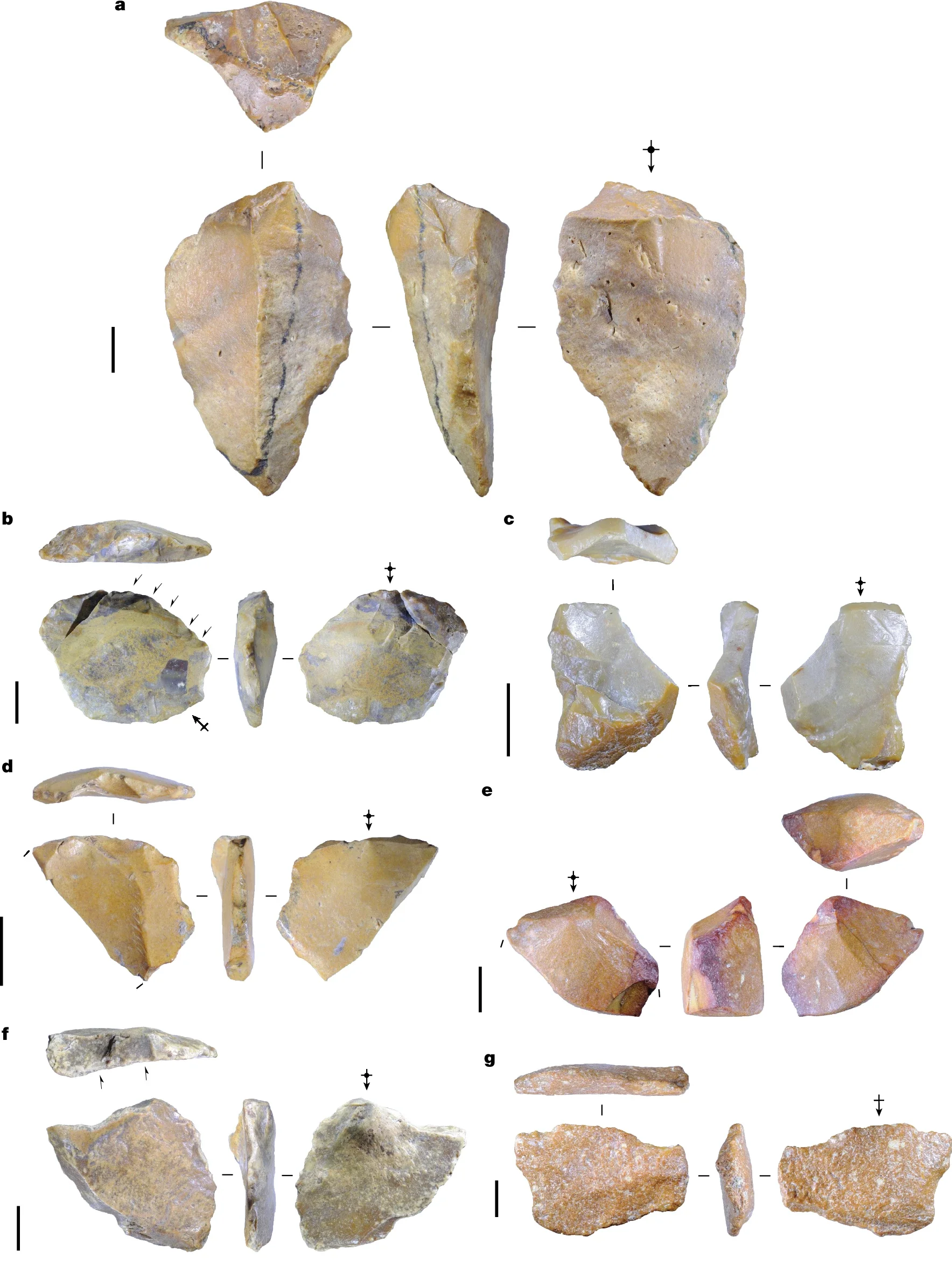 Stone artefacts recovered from Early Pleistocene deposits at Calio.