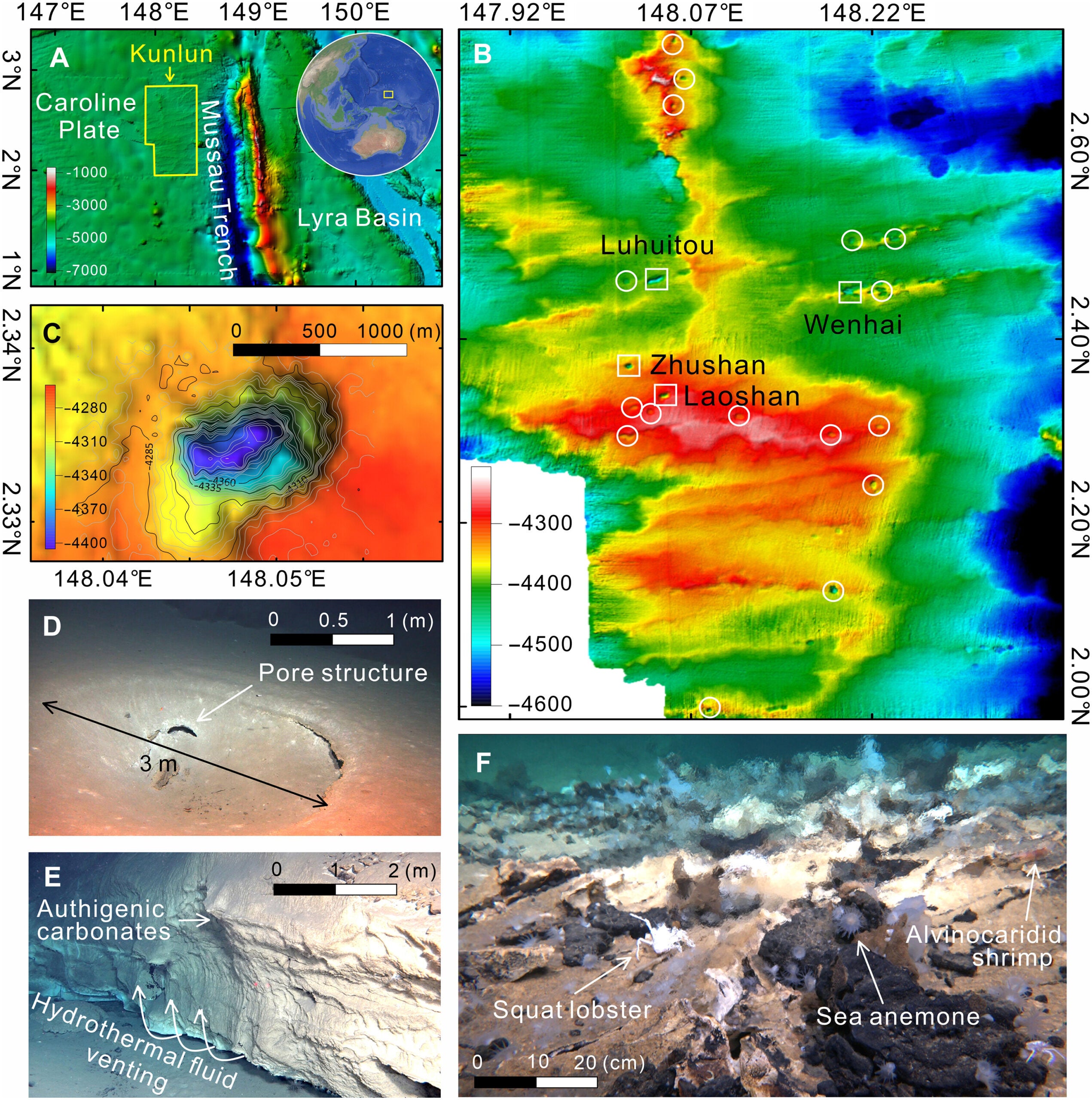 Hydrothermal activities and distribution of pipe swarms on the subducting plate near the Mussau Trench.