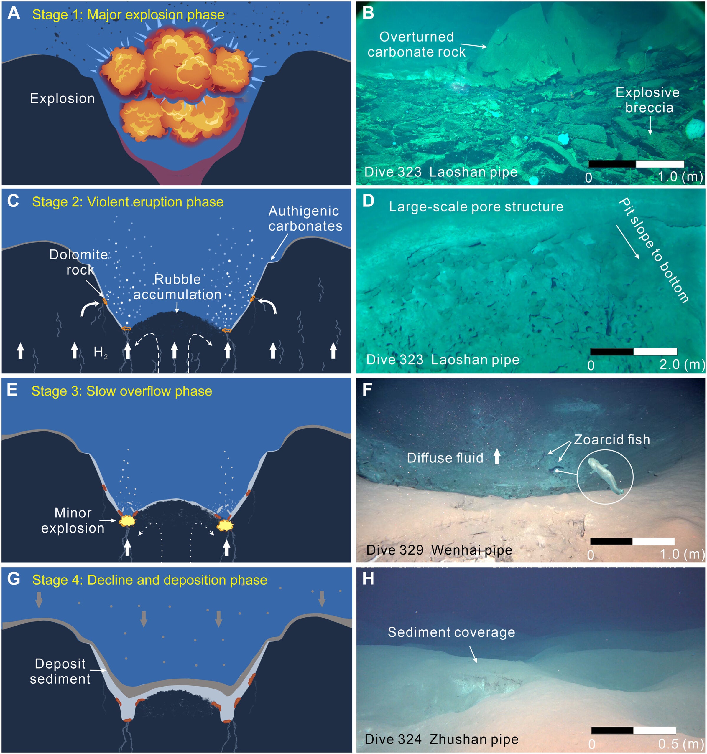 The development model of the Kunlun pipe swarm and on-site observations.