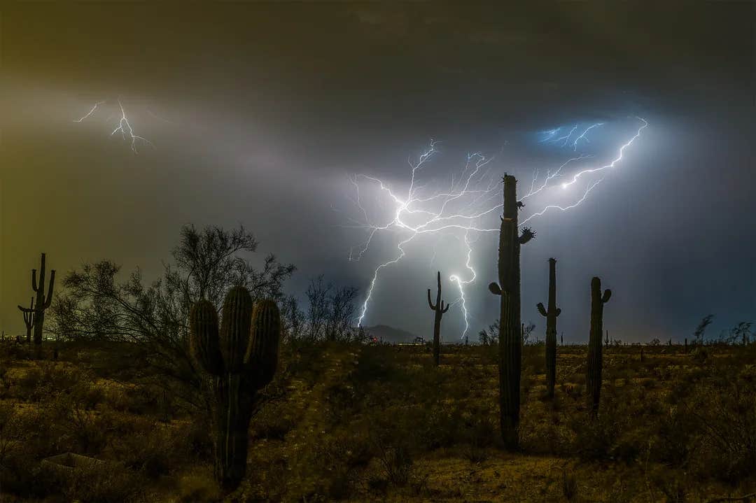 TGFs are brief but powerful emissions of high-energy photons linked to lightning activity.
