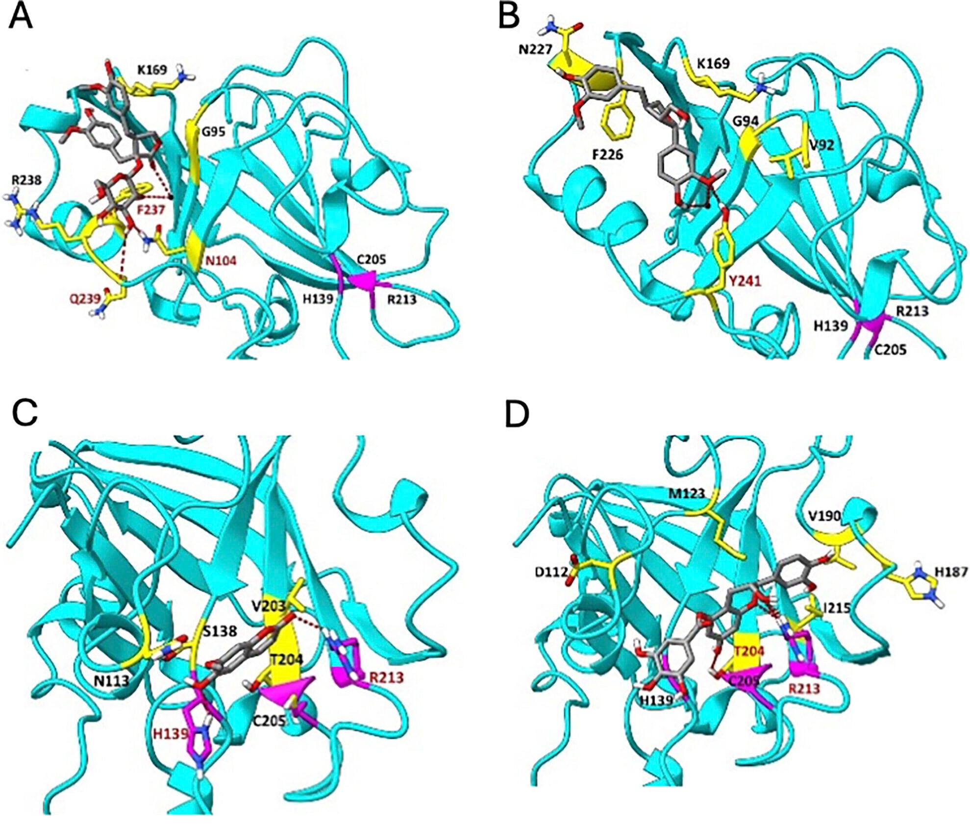 In silico modeling of polyphenol binding to S. mutans