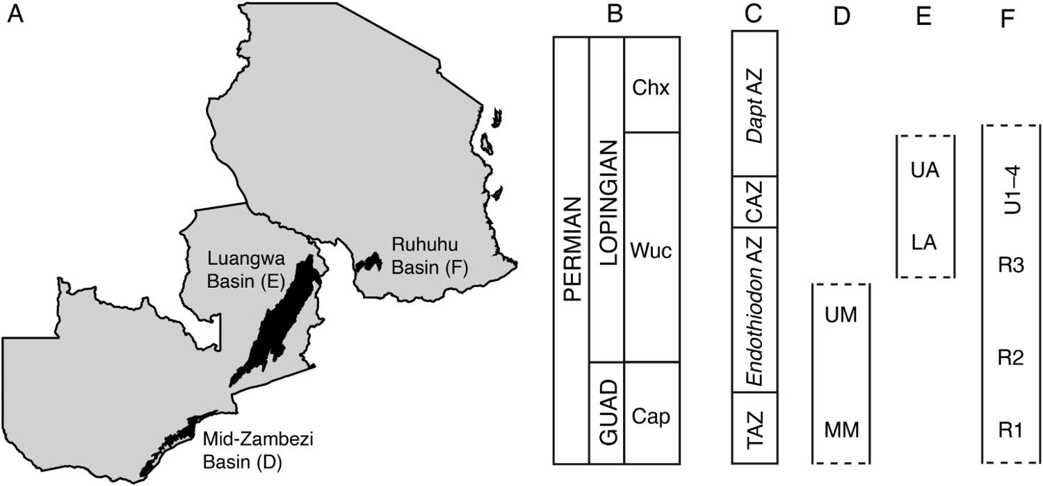 Generalized geography of Tanzania and Zambia, showing the three geological basins discussed in this Memoir.