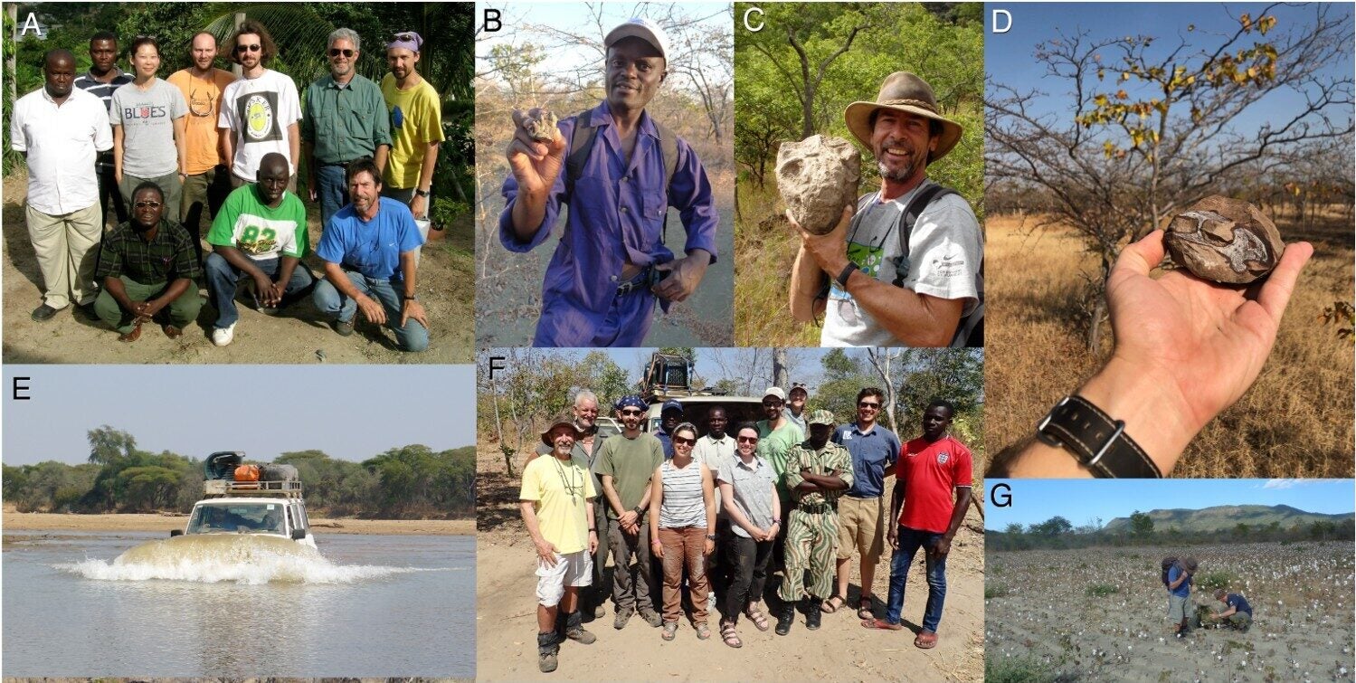 Fieldwork personnel and examples of fossil discoveries.