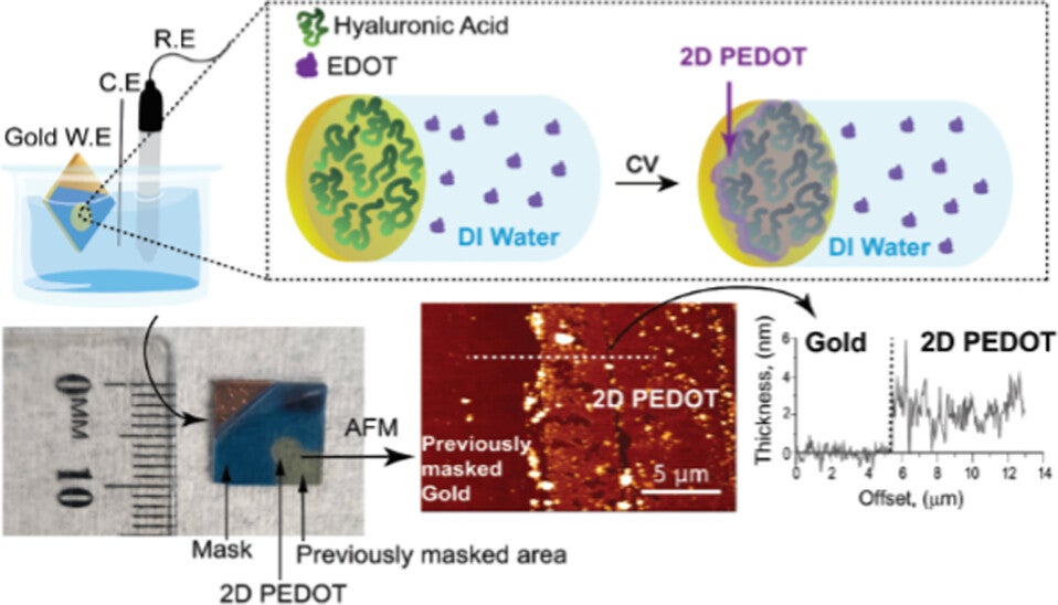 Graphical study abstract: The development of 2D materials is rapidly advancing beyond traditional graphene and metal oxides and into new functional organic materials including conducting polymers (CPs).