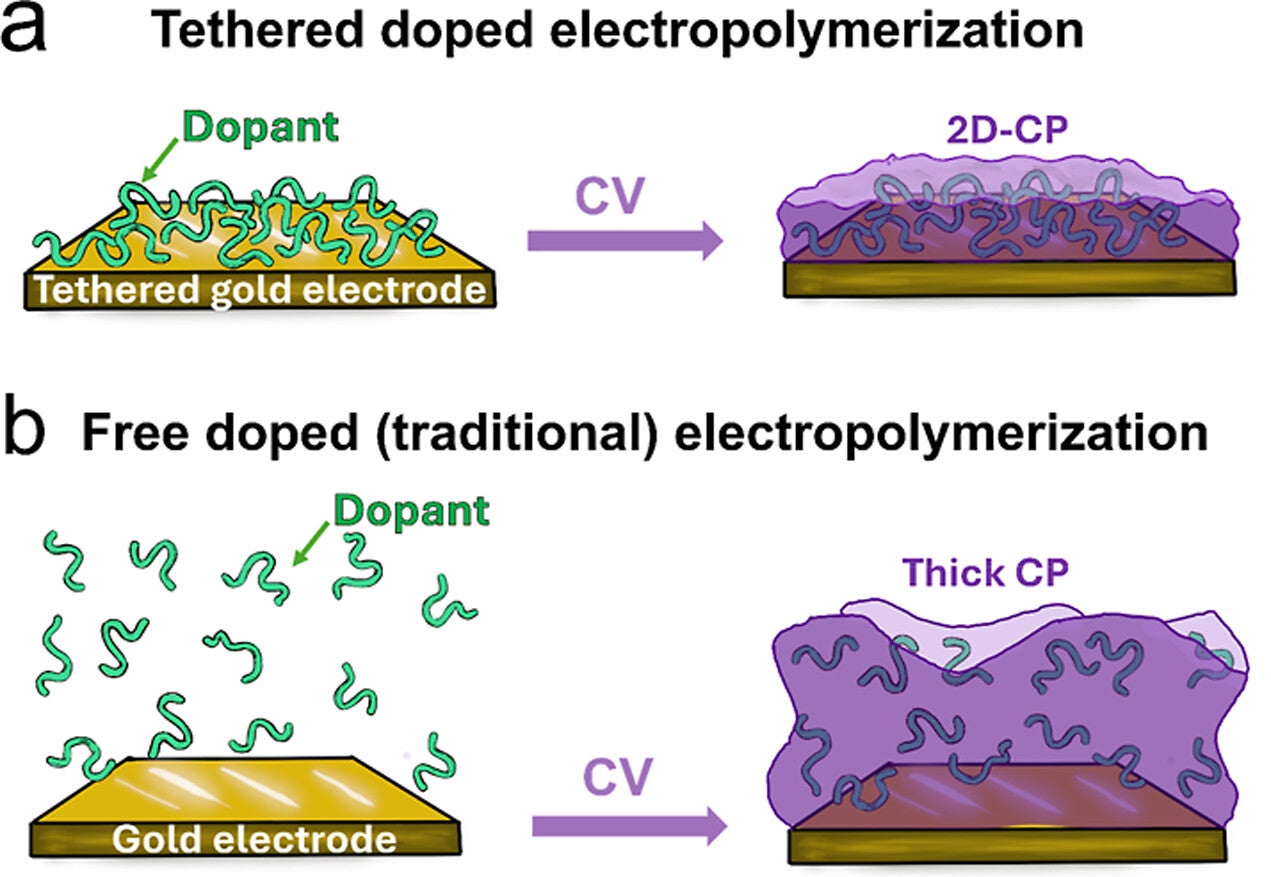 Scheme representing (a) the tethered doped electropolymerization approach where the dopant molecules are tethered to the electrode surface through physisorption or chemisorption and offer 3D control over the CP growth and (b) the traditional doped electropolymerization approach using a free (codissolved) dopant that grows thick CP with an uncontrolled doping level and homogeneity.
