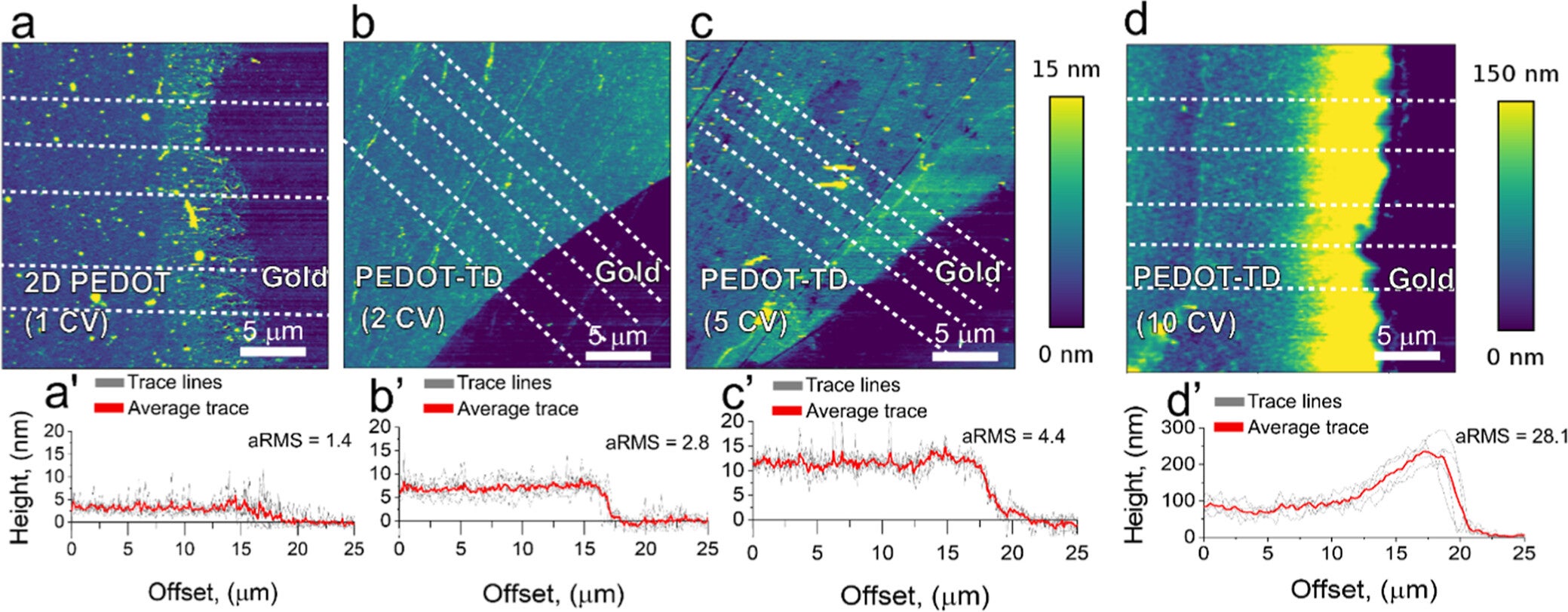 AFM images obtained in contact mode in air for PEDOT-TD electropolymerized with (a) 1 CV (2D-PEDOT), (b) 2 CVs, (c) 5 CVs, and (d) 10 CVs with its correspondent height traces