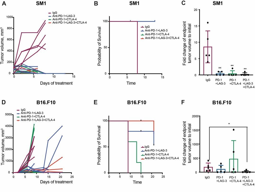 Differential effect of anti-PD-1+LAG-3, anti-PD-1+CTLA-4 and anti-PD-1+LAG-3+CTLA-4 on tumor growth in three mouse melanoma models; SM1, B16-F10 and SW1.