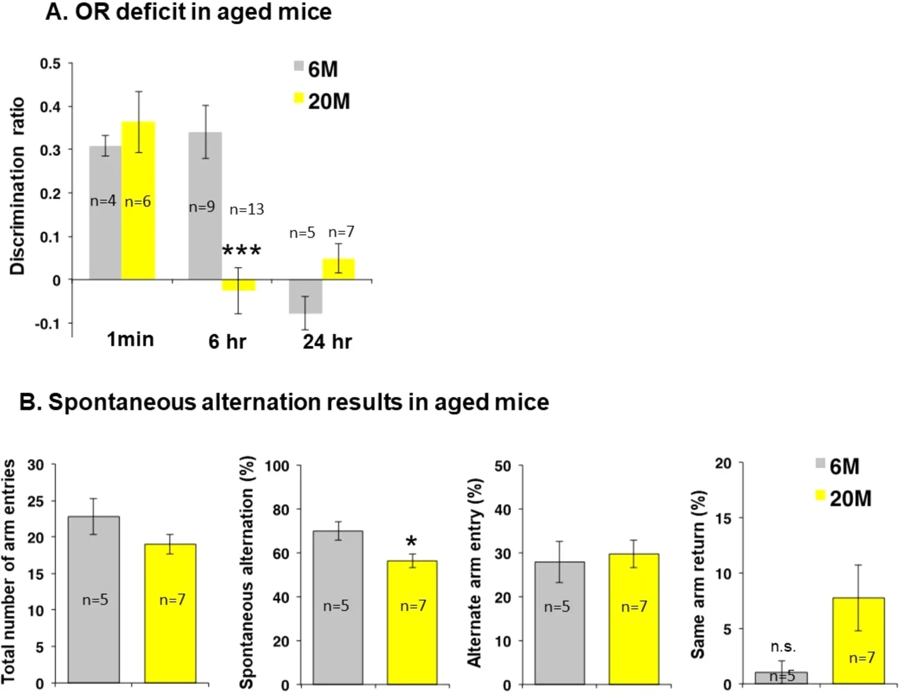 Memory loss in aged mice, rescued by perineuronal net attenuation.